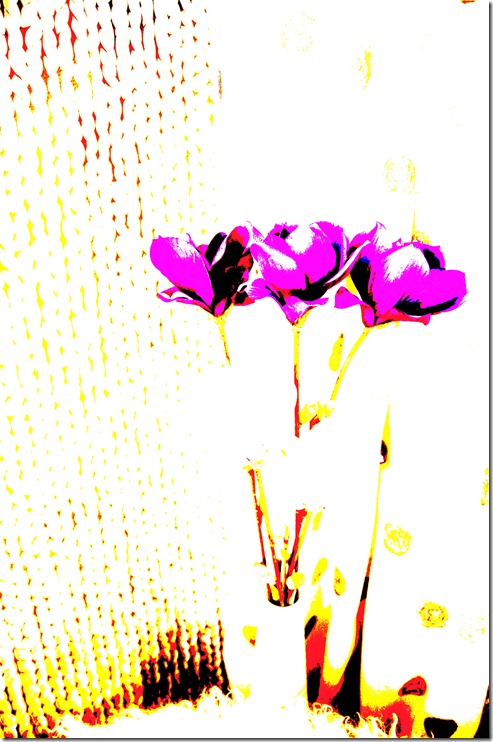DSC00424