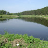 dsc03745.jpg