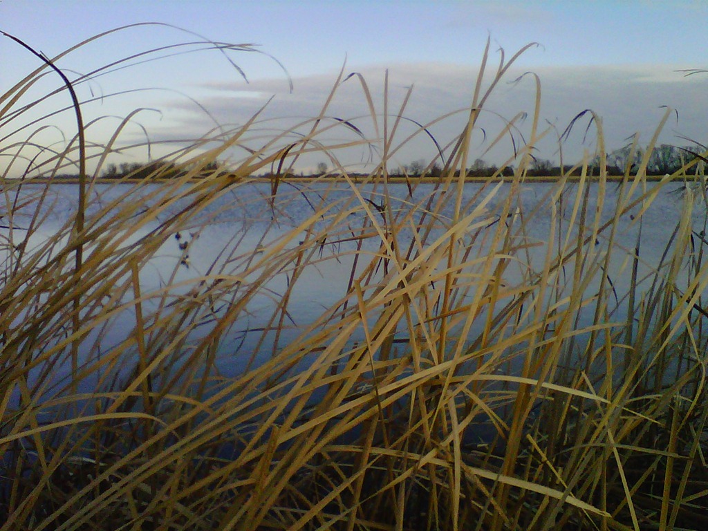 [IMG00315-20111111-0814%255B3%255D.jpg]