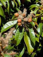 P8277646