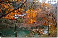 DSC_0313_1 DSC_0313_1