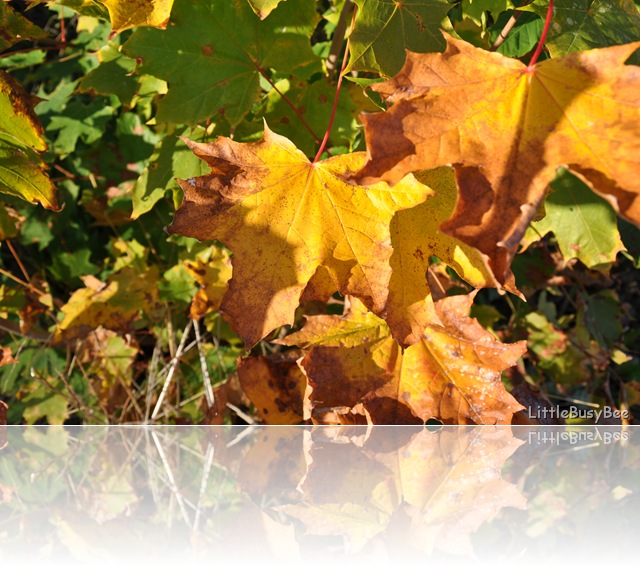 2010_1010blog-photos0037