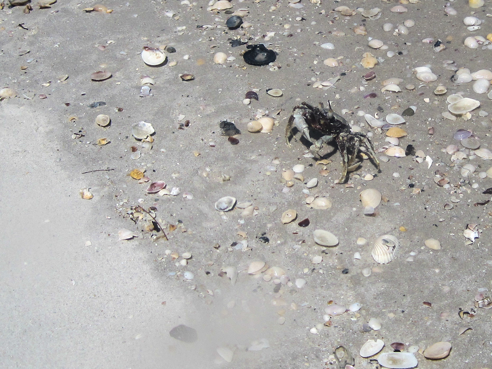 Лангкави, Малайзия - август 2012 (ч.2 - Пляжи)