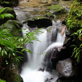 A Rushing Creek Near Emerald Pool - Roseau, Dominica