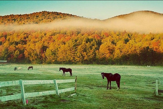 [clip_image026%5B3%5D.jpg]