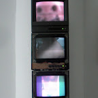 CIMG2160.JPG