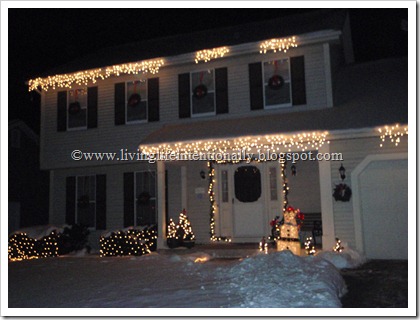 Viewing Holiday Lights