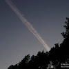 dsc03736.jpg