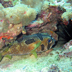 IMG_1657.JPG