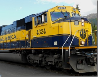 traindenali 131 traindenali 131