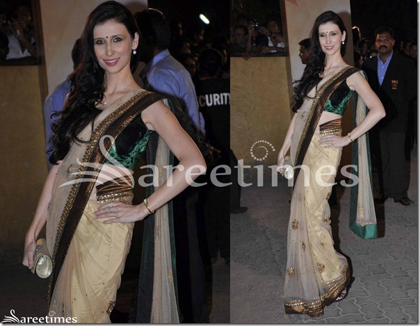 Cream_Designer_Shimmer_Saree Cream_Designer_Shimmer_Saree