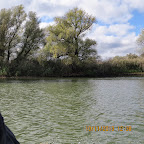 IMG_3158.JPG