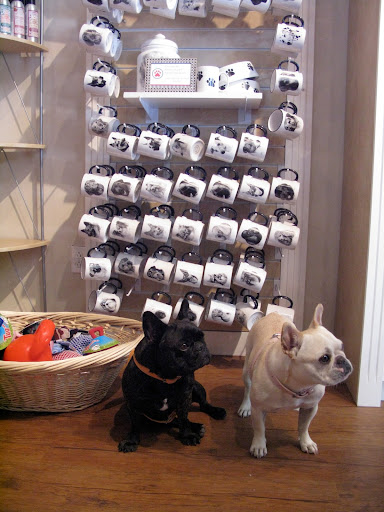 Let's buy one of these mugs for Martha for Christmas.
