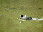 DSCF0626.JPG