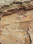 DSCN4782.JPG
