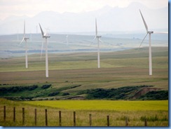 1182 Alberta - gravel roads between Head-Smashed-In Buffalo Jump Interpretive Centre and Pincher Creek - canola field wind turbines mountains in background 1182 Alberta - gravel roads between Head-Smashed-In Buffalo Jump Interpretive Centre and Pincher Creek - canola field wind turbines mountains in background