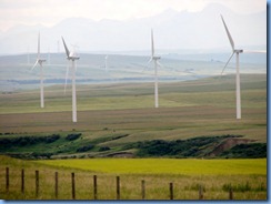 1182 Alberta - gravel roads between Head-Smashed-In Buffalo Jump Interpretive Centre and Pincher Creek - canola field   wind turbines   mountains in background