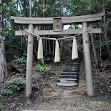 本宮の鳥居。