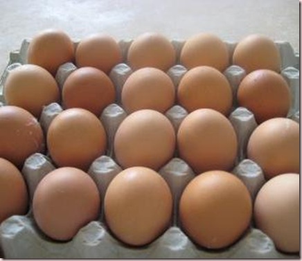 huevos2 huevos2