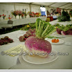 Horticulture 014.jpg