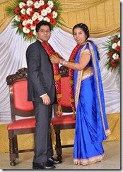 m-ramanathan-daughter-wedding-reception-pic