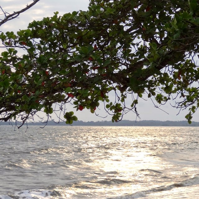 plage_gabon plage_gabon