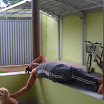 319 Turma de Enfermagem 2011.jpg