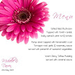 Hot Pink Gerbera - JPGS 7 Menu
