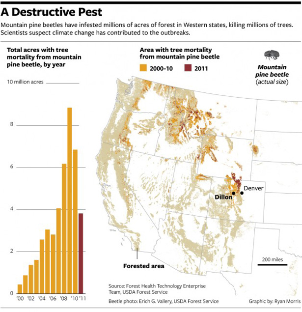 Tree mortality from mountain pine beetle in the Western United States, 2000-2011. Ryan Morris   / USDA Forest Service