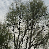 IMG_3559.jpg