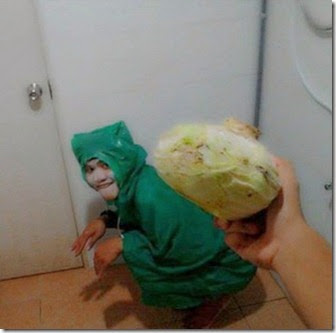 bulbasaur bulbasaur