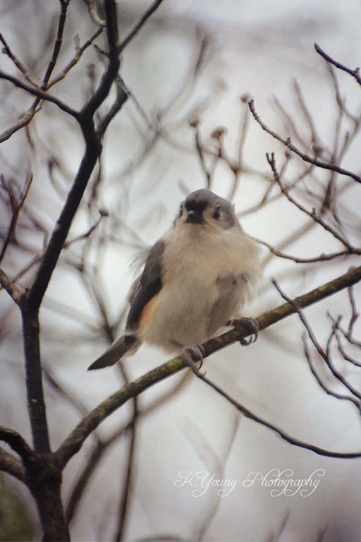 [DSC_8166%2520copy%25202%255B6%255D.jpg]