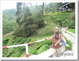 IMG_4309 IMG_4309
