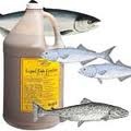 [fish%2520liquid%255B3%255D.jpg]