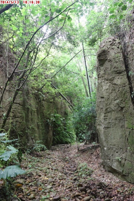 2014_0513_101639 2014_0513_101639