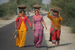 Bishnoi Village_Jodpur, India 039.JPG