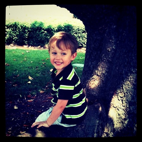 [wadetree%255B3%255D.jpg]