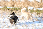 _DSC0022.JPG
