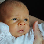 Luca Stefan