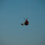 DSC_1078.jpg DSC_1078.jpg