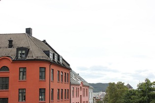 IMG_2619 IMG_2619