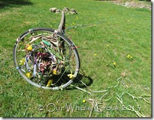 maypole crown maypole crown