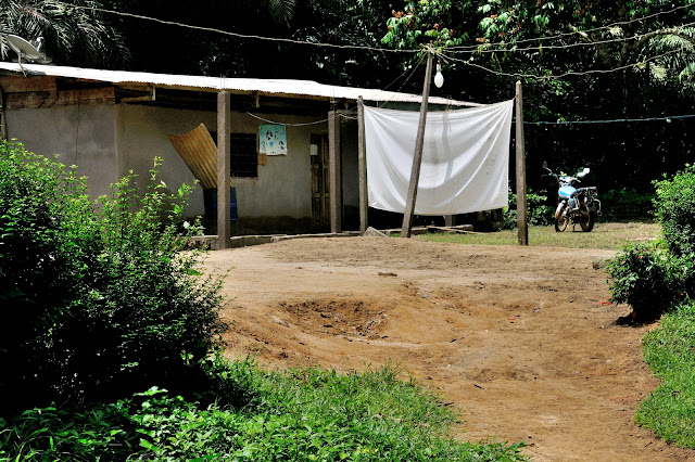 Maison villageoise dotée d'un dispositif de collecte nocturne. Ebogo (Cameroun), 26 avril 2013. Photo : Daniel Milan