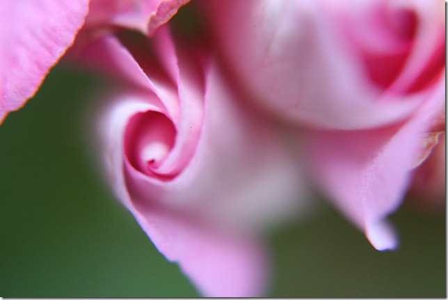 IMG_4863 IMG_4863