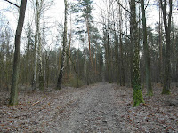 SAM_6844.JPG Photo