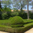 Jardim Bot&Atilde;&cent;nico da Ajuda