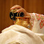 IMG_5886.JPG