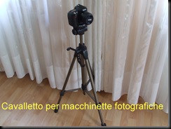 DSCF2086 DSCF2086