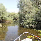 DSCN2852.JPG