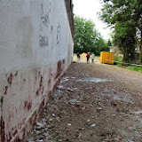 img_8298.jpg